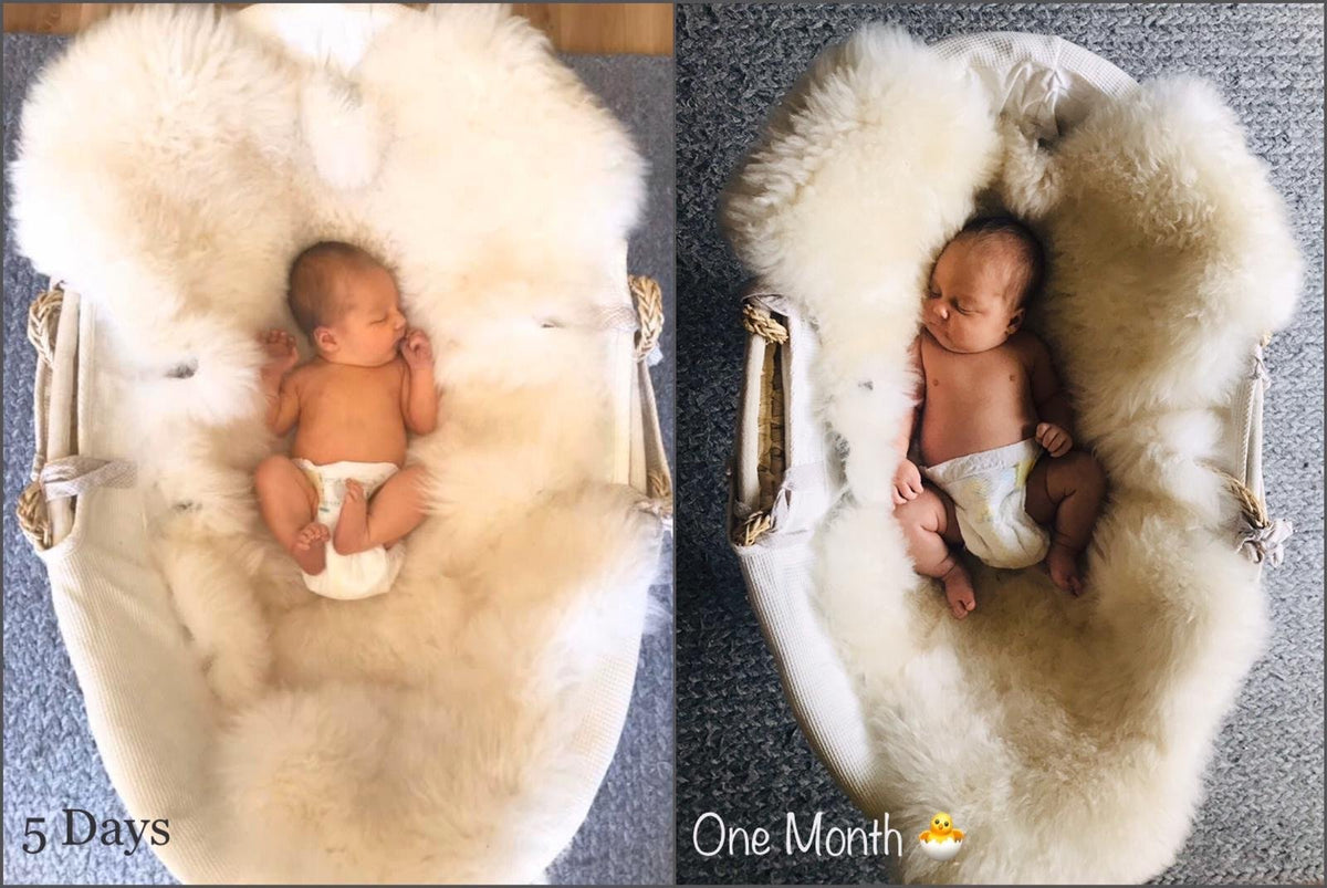 baby sheepskin products