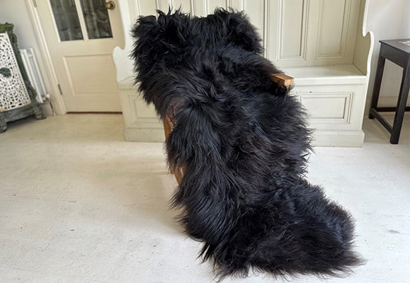 double sheepskin rug