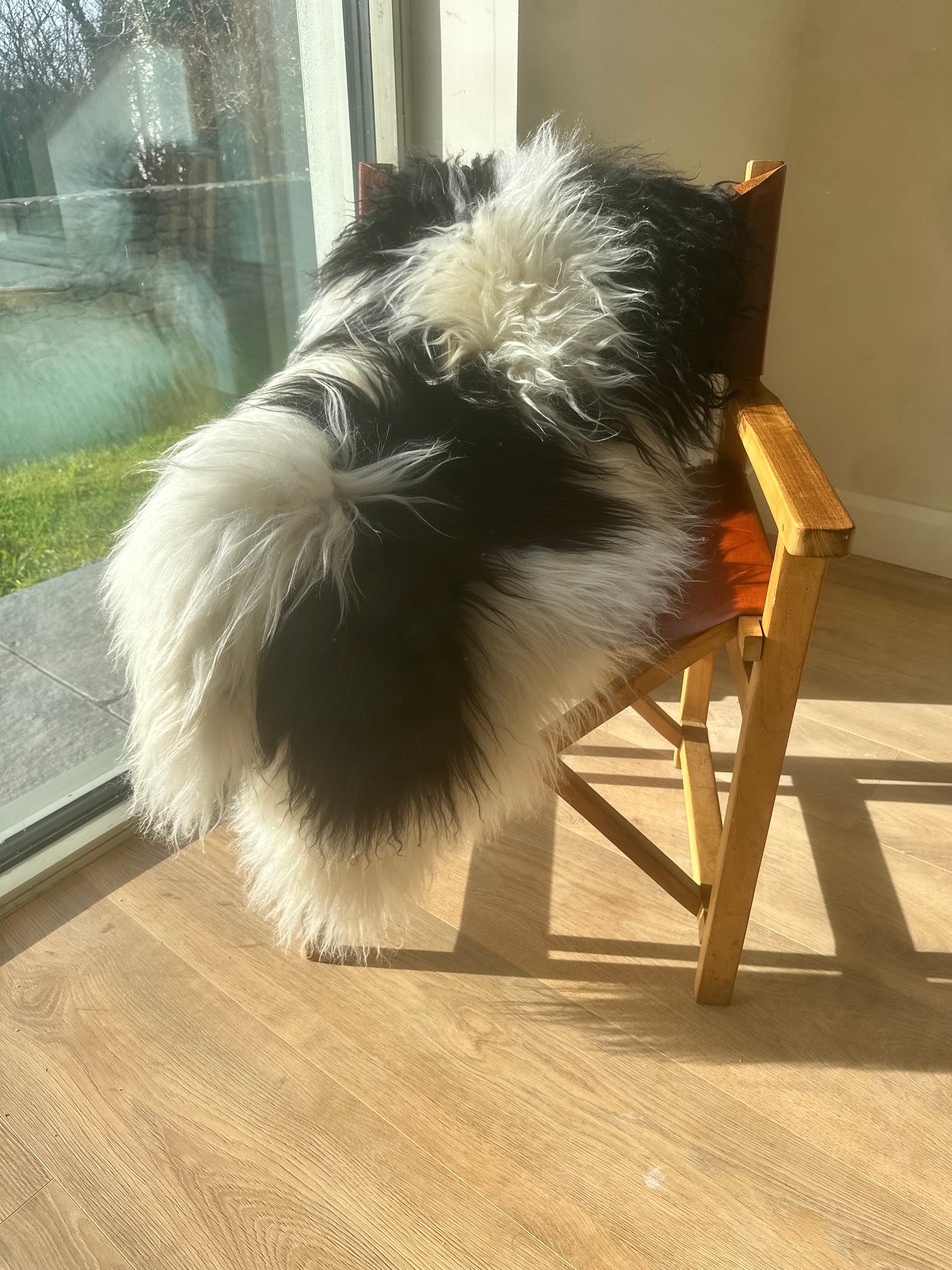 Ollie Highland Black and White Shaggy Sheepskin