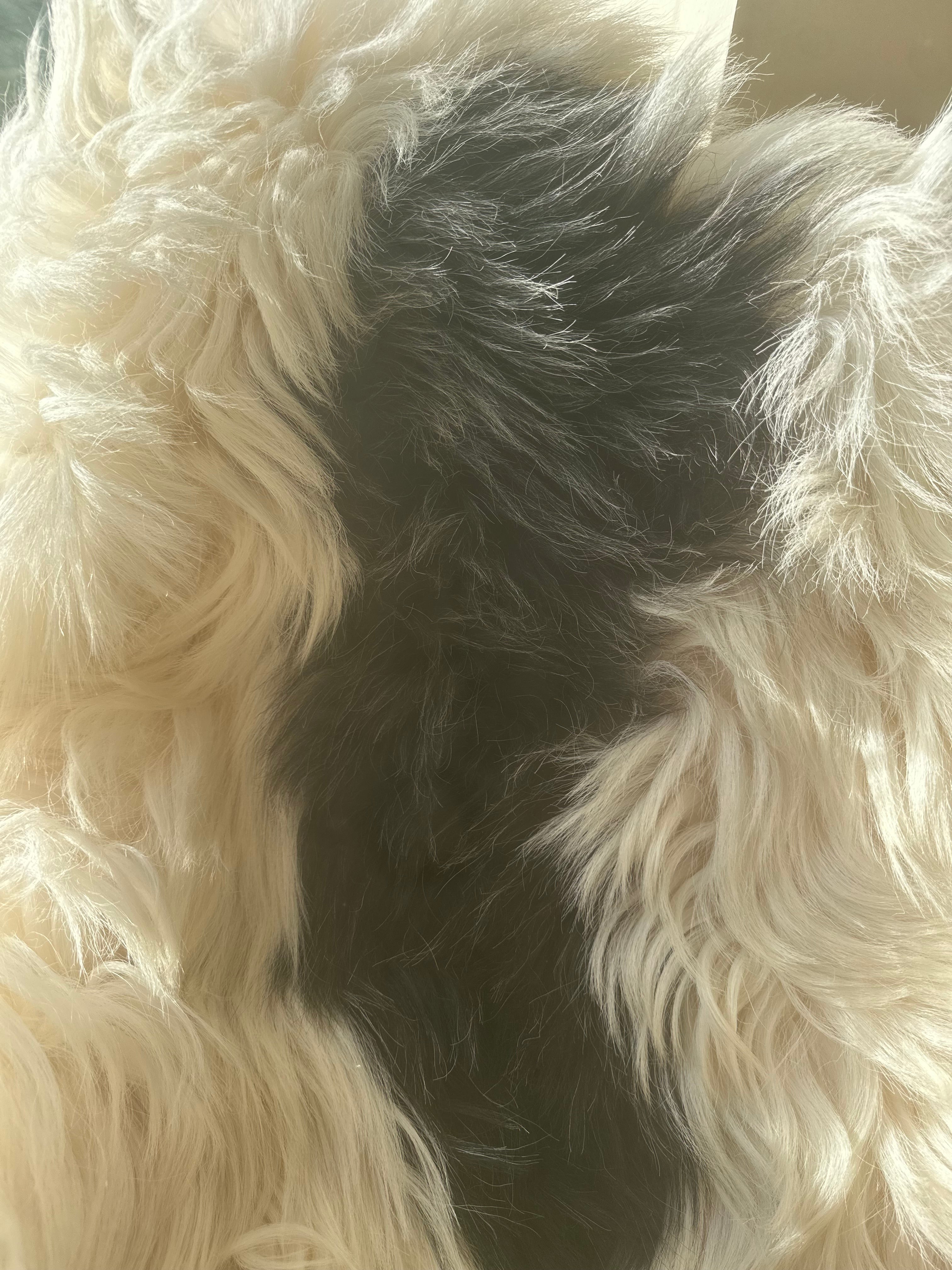 Ronan Coarse Unique Sheepskin