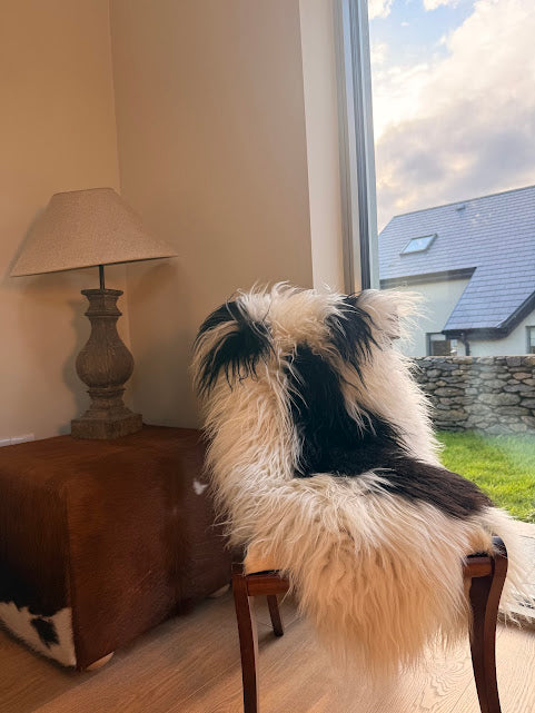 Imogen Sheepskin