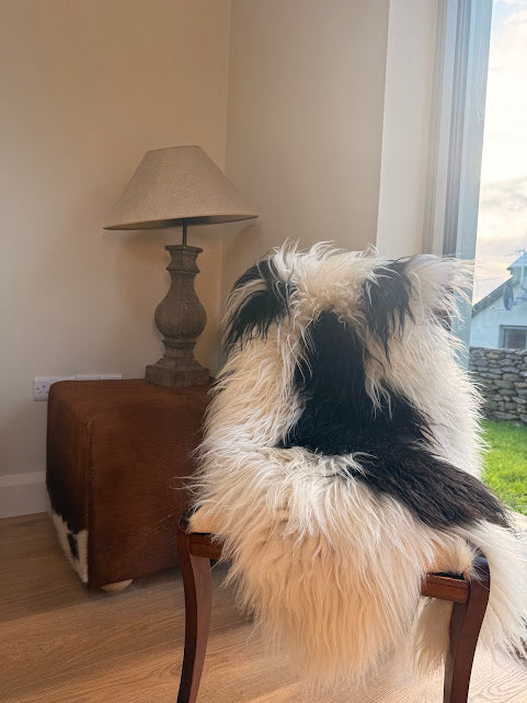 Imogen Sheepskin