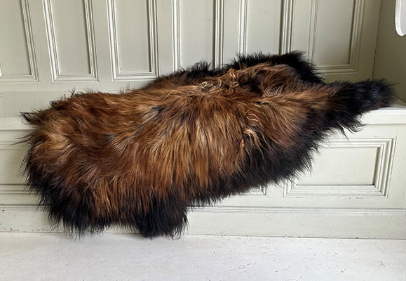 black and tan rug
