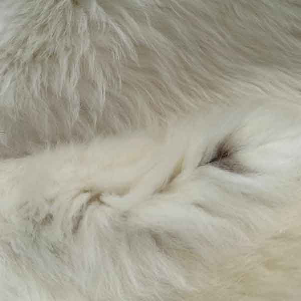 Justin sheepskin rug
