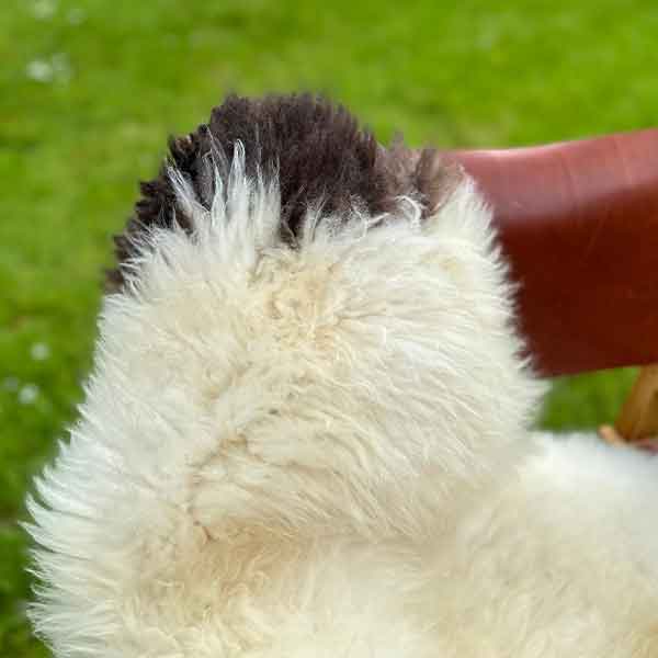 Irish sheepskin rug