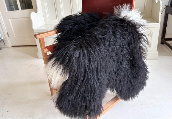 curly sheepskin