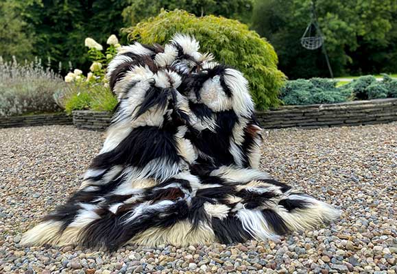 Black and White Sheepskin Rug