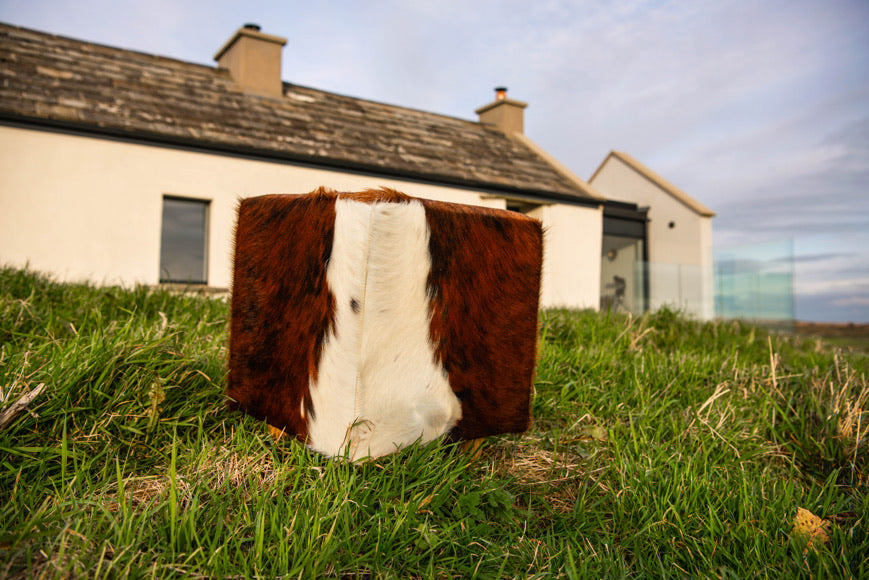 ‘Boffin’ Cowhide Footstool in a few different colours