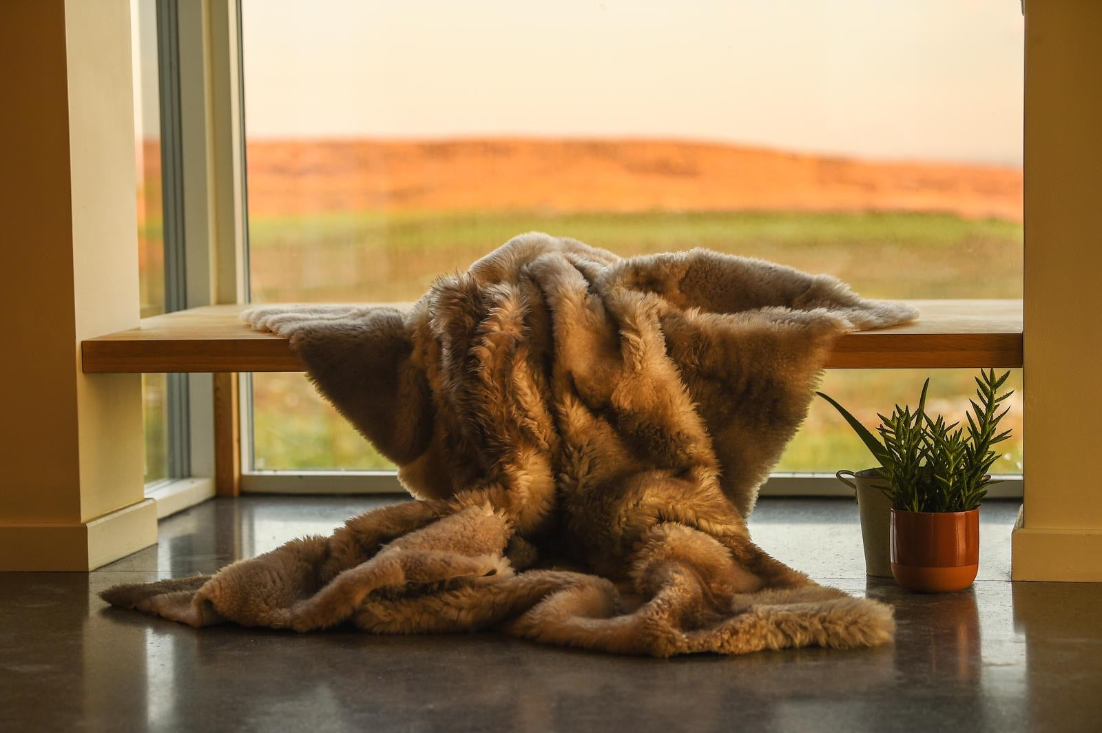 Lambskin Throw (Natural brown, fawn & cream)