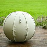 leather sitting ball