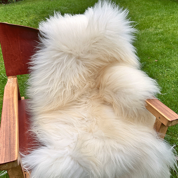 shaggy sheepskin rug