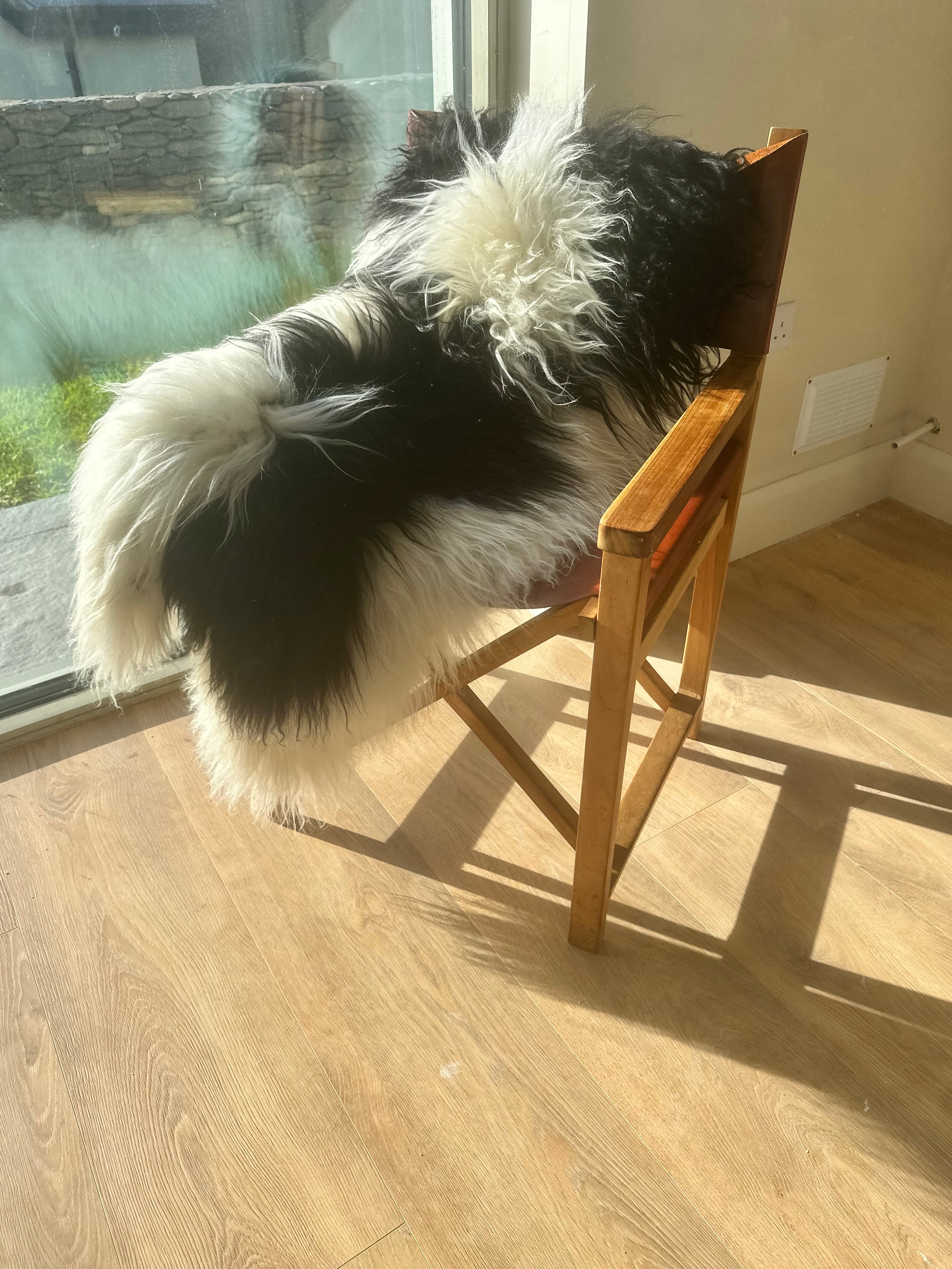 Ollie Highland Black and White Shaggy Sheepskin