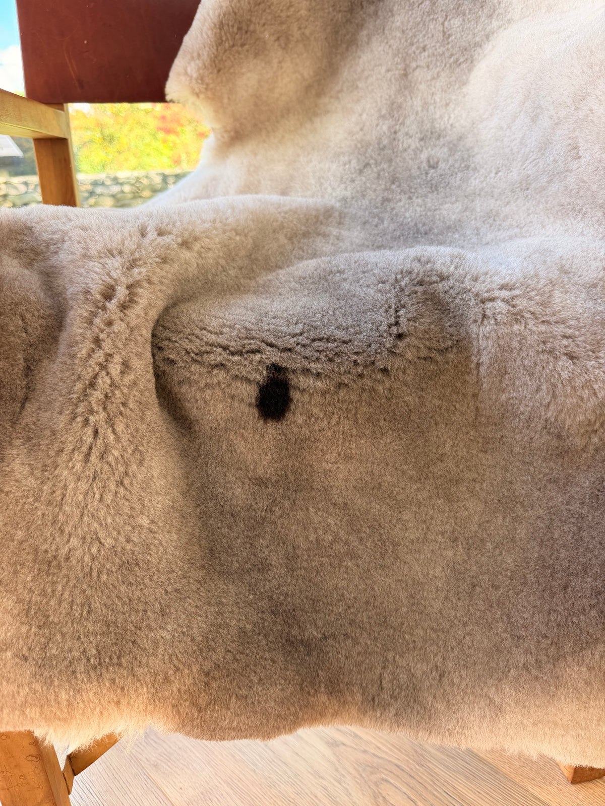 Silver Glen Clipped Sheepskin Rug