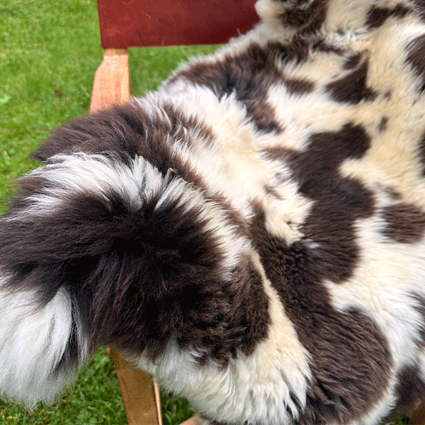 speckled sheepskin rug