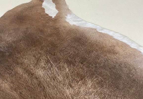 light brown cowhide rug