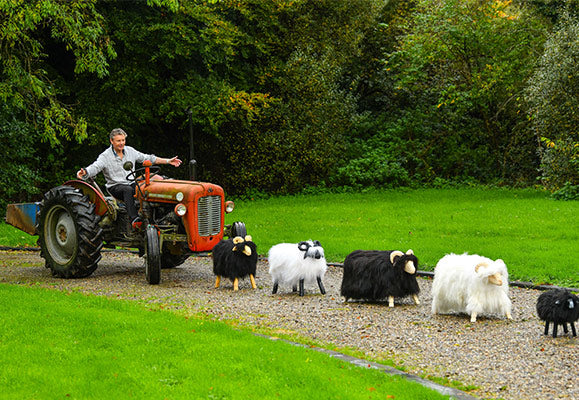 Derek with his flock