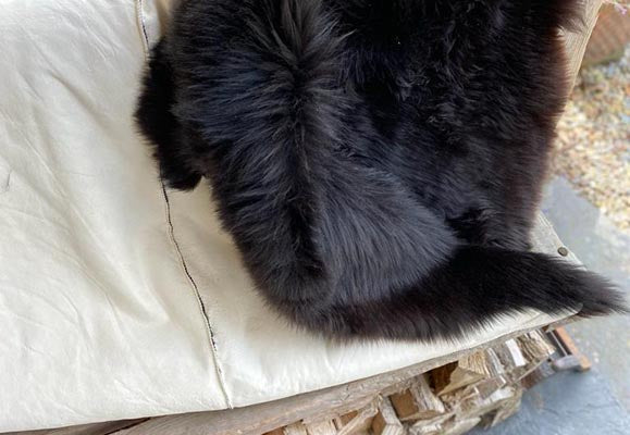 large quad sheepskin