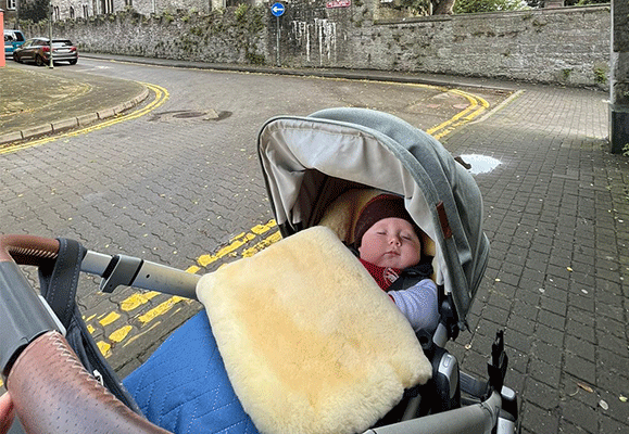 sheepskin buggy liner 1