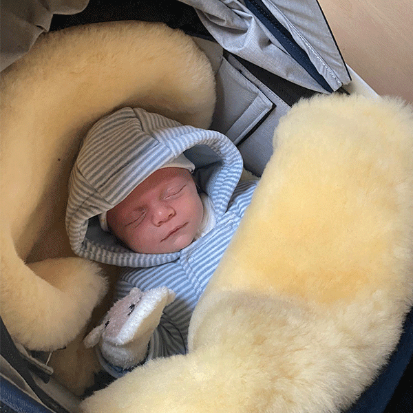 cosy sheepskin buggy liner