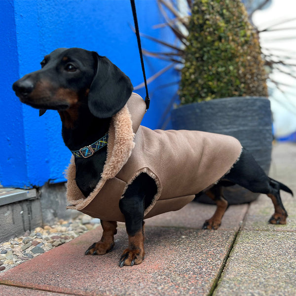 Real shearling dog coat on sale