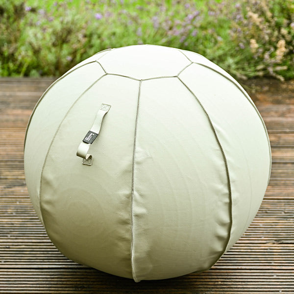 leather exercise ball