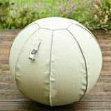 leather exercise ball