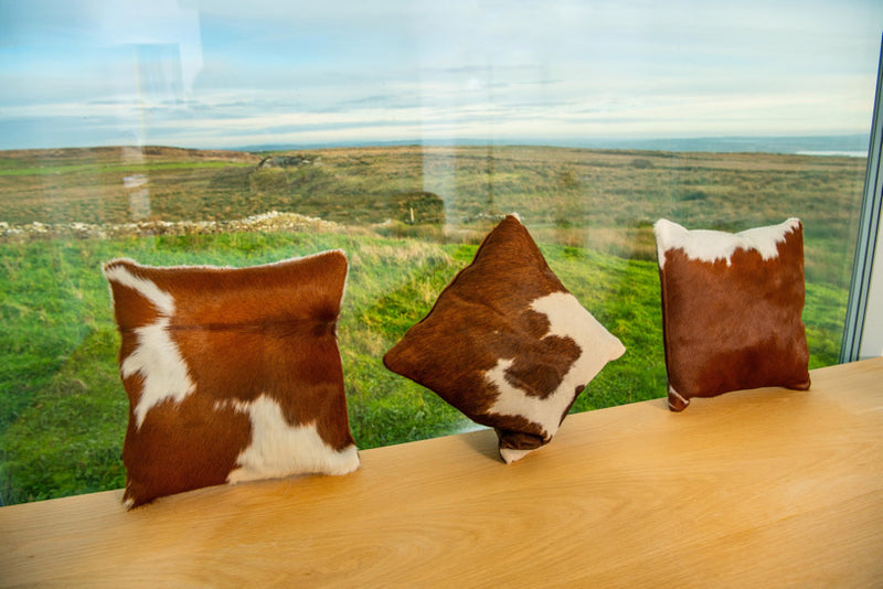 Brown/Red on White Cowhide Cushions