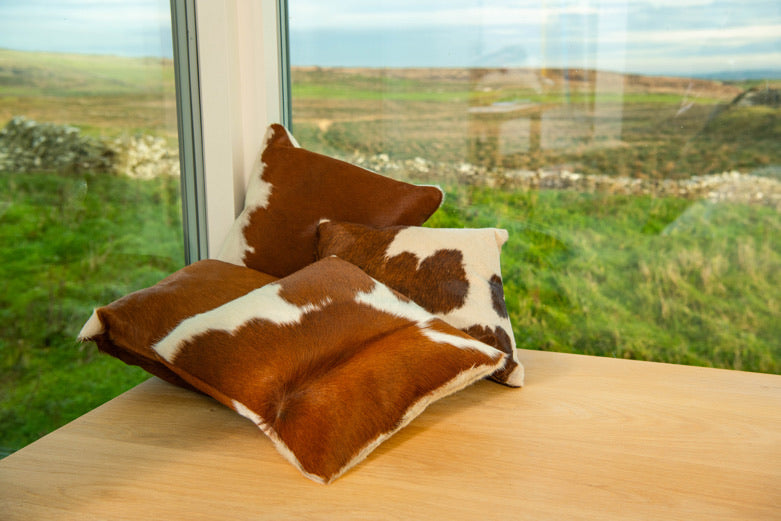 Brown/Red on White Cowhide Cushions