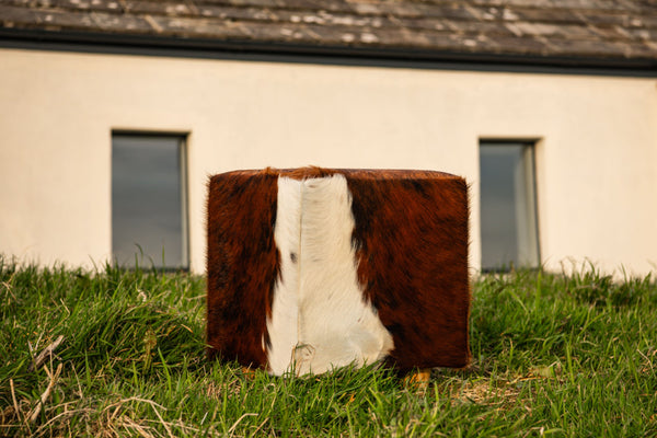 ‘Boffin’ Cowhide Footstool in a few different colours