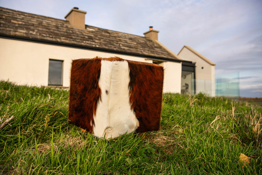 ‘Boffin’ Cowhide Footstool in a few different colours