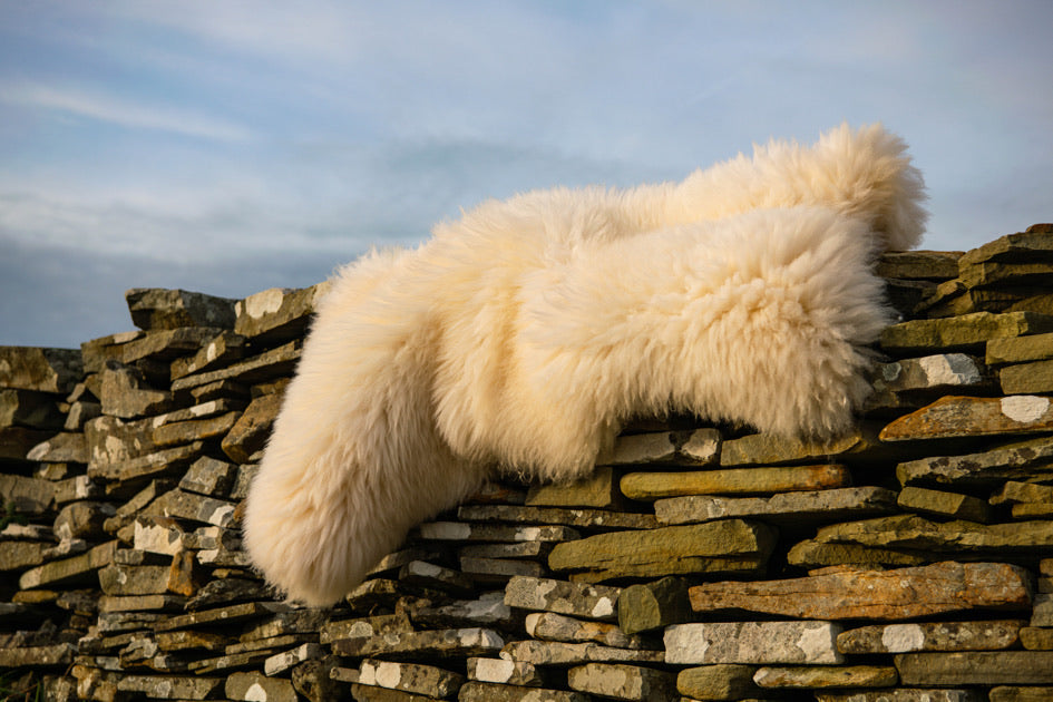 Irish sheep skin rug