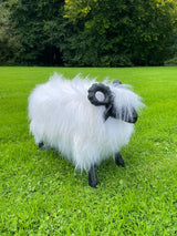 Seán the Sheep