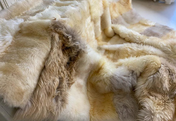 golden fleece throw