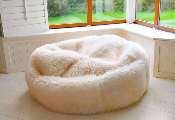 beanbag by window